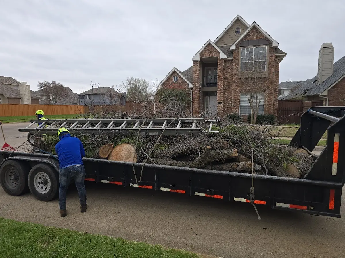 Expert Lot Clearing with proper safety equipment in Conway